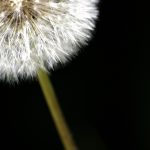 visualpanic_2608937632