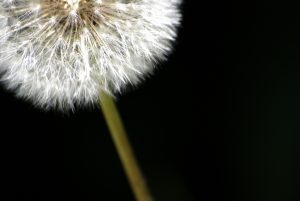visualpanic_2608937632